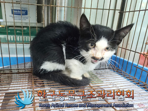 종료(자연사) 한국…